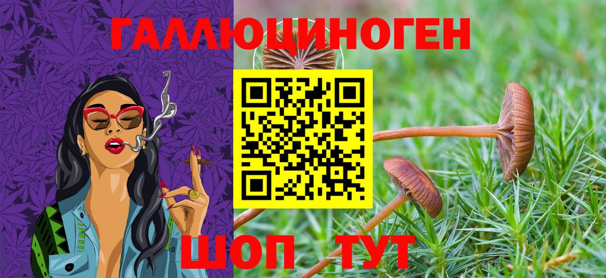 Псилоцибиновые грибы ЛСД  Псилоцибиновые грибы GOLDEN TEACHER  Нарткала  Вход с VPN 